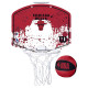 Wilson NBA Team Mini Hoop